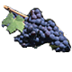 image: grapes